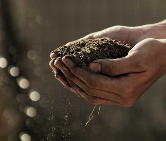 Give it to the Earth: Magick for Protection and Defense