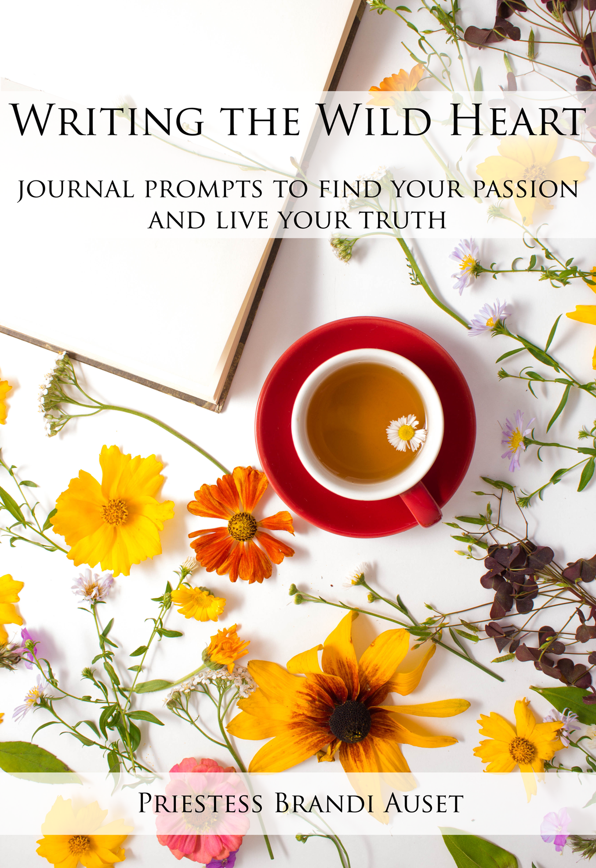 Writing the Wild Heart eBook