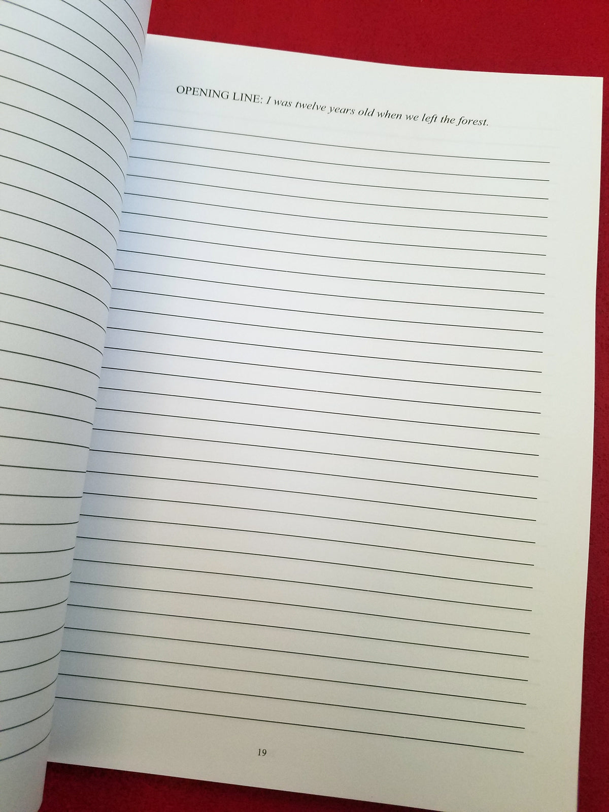 Creative Thoughts for Dark Minds: a prompt journal for writers