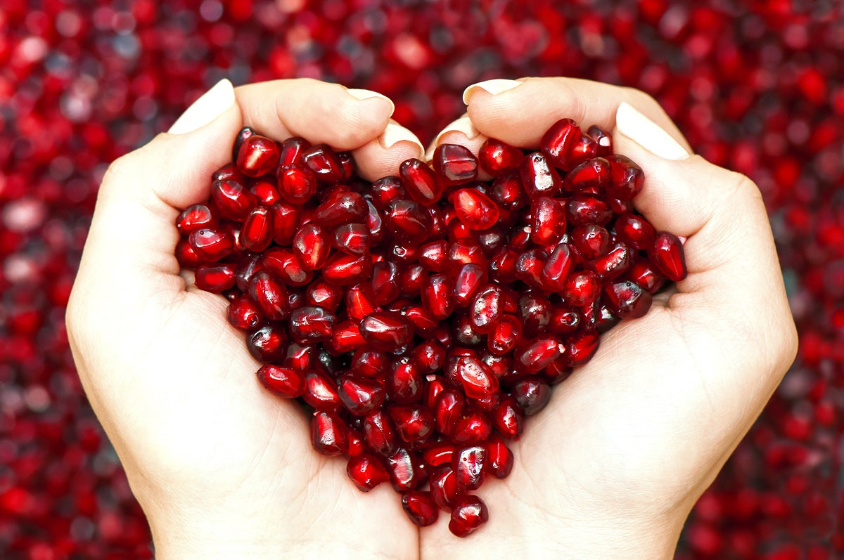 Heart Centered Guided Meditation